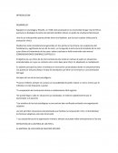 Rapaport en psicología y filosofía