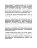 Los países que han legalizado y regulado el trabajo sexual se vela por los derechos laborales y sanitarios de las mujeres que ejercen, también les ha permitido regular la inmigración ilegal, hay mecanismos para proteger a las víctimas de mafias.