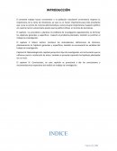 Importancia de la toma de deciciones de los estudiantes de la unjbg en el aspecto politico