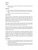 Observar el tiempo de corrida del micelio del Pleurotus ostreatus sobre el substrato de trigo.
