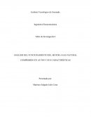 ANÁLISIS DEL FUNCIONAMIENTO DEL MOTOR A GAS NATURAL COMPRIMIDO EN AUTOS Y SUS CARACTERÍSTICAS