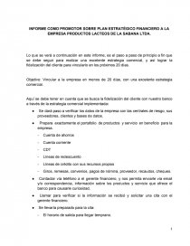 INFORME COMO PROMOTOR SOBRE PLAN ESTRATÉGICO FINANCIERO A LA EMPRESA PRODUCTOS LACTEOS DE LA SABANA LTDA.. Página 1