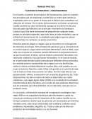 TRABAJO PRÁCTICO ''CUESTIÓN DE PRINCIPIOS'', FONATANARROSA