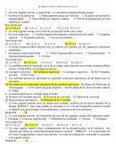 ARTERIAS, VENAS Y NERVIOS DEL CUELLO