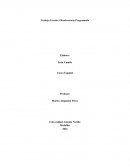 Trabajo escrito Programacion de vida util en la industria.