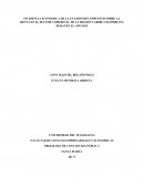 INCIDENCIA ECONOMICA DE LA EVASION DEL IMPUESTO SOBRE LA RENTA EN EL SECTOR COMERCIAL DE LA REGION CARIBE COLOMBIANA DURANTE EL AÑO 2015