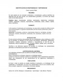 IDENTIFICACIÓN DE INVERTEBRADOS Y VERTEBRADOS