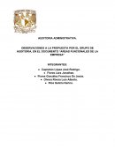 OBSERVACIONES A LA PROPUESTA POR EL GRUPO DE AUDITORIA, EN EL DOCUMENTO “AREAS FUNCIONALES DE LA EMPRESA”