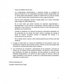 INFORME COMO PROMOTOR SOBRE PLAN ESTRATÉGICO FINANCIERO A LA EMPRESA PRODUCTOS LACTEOS DE LA SABANA LTDA.. Página 2