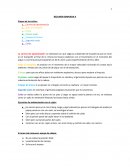 La carrera de aproximación: la velocidad con que salga va a depender de la potencia que se inicie en el trampolín al final de la misma los brazos colaboran con el movimiento en el momento del pique.