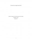 Análisis de la migración debido a la Guerra en Siria