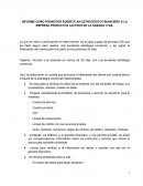 INFORME COMO PROMOTOR SOBRE PLAN ESTRATÉGICO FINANCIERO A LA EMPRESA PRODUCTOS LACTEOS DE LA SABANA LTDA.