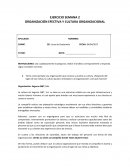 EJERCICIO SEMANA 2 ORGANIZACIÓN EFECTIVA Y CULTURA ORGANIZACIONAL