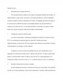 Embriologìa Sistema Nervioso y órganos de los sentidos