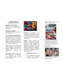 Contenido Procedimental: Utilización de monocromías y matices en prácticas artísticas sobre la identidad