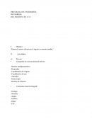 Protocolo de ingreso del paciente en terapia intensiva