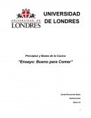 Principios y bases de la cocina “Ensayo: Bueno para comer”