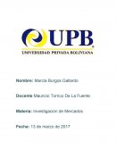 Investigacion de mercados Spa en la paz