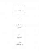 Comunicación escrita y procesos lectores . Futbol, espectáculo deportivo o simplemente un deporte más