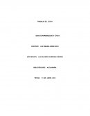 PROPUESTA DE TRABAJO PARA LA BIBLIOTECA DESDE ESTA PERSPECTIVA INCLUYENTE-INTERCULTURALIDAD