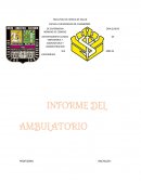Ensayo DEPARTAMENTO CLINICO DE ENFERMERIA Y COMUNITARIA Y ADMINISTRACION