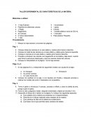 TALLER EXPERIMENTAL DE CARACTERÍSTICAS DE LA MATERIA.