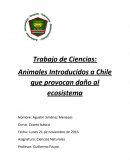 Animales Introducidos a Chile que provocan daño al ecosistema