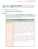 Revisa el mapa conceptual Bases epistemológicas de la ciencia enfermera, que se estructura en cinco niveles teóricos. Con base en éste, completa el siguiente cuadro explicativo (para esta actividad tendrás que recuperar las actividades de aprendizaje