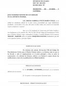 INCIDENTE GUARDA Y CUSTODIA