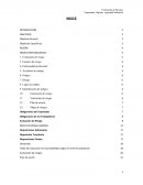 Ergonomia seguridad e higiene