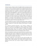 Ensayo sobre el suicidio. El suicidio y los estados psicopático