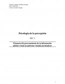Primacía del procesamiento de la información global y local en patrones visuales jerárquicos