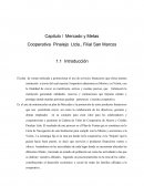 Capitulo l Mercado y Metas Cooperativa Pinalejo Ltda., Filial San Marcos