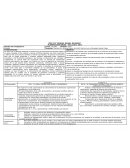 Planificación 2do Año Ciclo Básico. Córdoba. Argentina