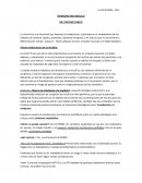 La insulina es una hormona que favorece el anabolismo, y participa en el metabolismo de los hidratos de carbono, lípidos, proteínas, expresión de genes, y en todo lo que es crecimiento y diferenciación celular. actúa en : Tejido adiposo visceral, el