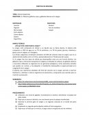 OBJETIVOS: 1. Observar glóbulos rojos y glóbulos blancos en la sangre.