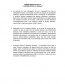 La película es muy interesante, ya que representa tan bien la mentalidad humana, nos muestra una forma de analizar las sociedades políticas y algunas características como la corrupción, la manipulación, el dominio, también representa las guerras, di
