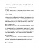 TERMINOLOGÍAS: TIPOS CRUZADOS Y FIJACIÓN DE FECHAS
