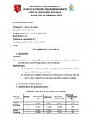 Aislamiento de levaduras