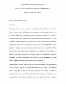 ENSAYO PRODUCCIÓN MÁS LIMPIA