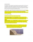 Ecosistemas marinos. Factores Abióticos y Bióticos