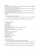 En esta practica se conocerá a Andrei Chikatilo, el estudiante reconocerá los aspectos biológicos psicológicos de la mente de un asesino en serie.