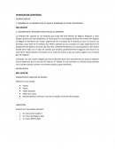 NOMBRE DE LA EMPRESA QUE SE HARA O MEJORARA SU PLAN ESTARTEGICO