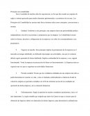 Son el resultado de muchos años de experiencias, en los que han creado un conjunto de reglas y normas generales para medir elementos patrimoniales y económicos de un ente.