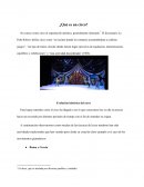 Evolución histórica del circo.