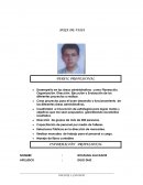 Desempeño en las áreas administrativas como Planeación, Organización, Dirección, Ejecución y Evaluación de los diferentes proyectos a realizar.