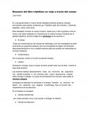 En una granja había un huevo donde habitaba la familia proteína, llamada aminoácidos esta estaba constituido por Triptófano (jefe de la familia), Glutamito, Aspartito, Lisina, entre otros.