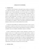 RESUMEN LIDERAZGO EN ENFERMERÍA.