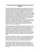 PRINCIPIOS CONSTITUCIONALES QUE RIGEN EL JUICIO DE AMPARO