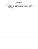 Biología Básica. Tarea 5